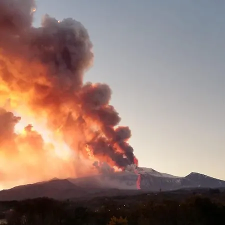 Dom wakacyjny Rusina *