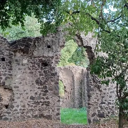 Rusina